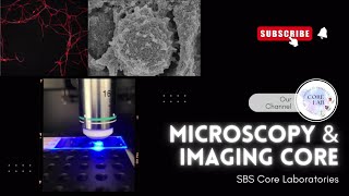 Introduction of SBS Microscopy amp Imaging Core CUHK [upl. by Eulaliah168]