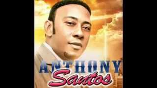 Anthony Santos  Bachata MIX 2014 [upl. by Mile]