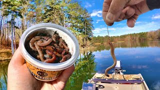 A Simple Way To Catch Crappie With Live Worms [upl. by Rolfe431]