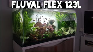 Tropical fish Fluval Flex 123L [upl. by Mizuki]