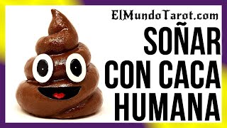 Soñar con Caca Humana 💩【Significados Relevantes】 [upl. by Eelnayr]