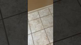 My grout is tan and clean I promise 😂 deepclean groutcleaning cleaning cleantok cleaningvideo [upl. by Yorel]