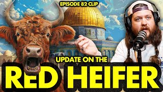 Update On The Red Heifer Sacrifice In Israel  Ninjas Are Butterflies [upl. by Ahserak136]