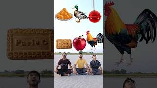 Eating ParleG biscuit Apple Rooster Goose lolipop wow cake chocolate icecream funny 😋VFX [upl. by Nosirrag]