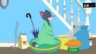 Tom And Jerry New Episode 2022 Tom And Jerry Cartoon Network [upl. by Alra]