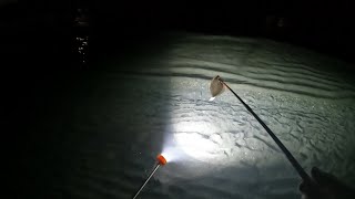 I Tried Spearfishing for Flounder at Midnight [upl. by Aicilif586]