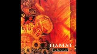 Tiamat  Wildhoney 1994 Full Album [upl. by Kcirdef190]