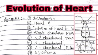 Evolution of heart in vertebrate  Evolution of aortic arches mscnotes msc2021 [upl. by Steele]