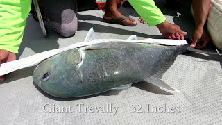 Palau Sports fishing on the northern reefs [upl. by Inavoig]