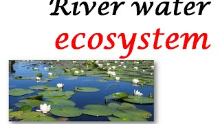 RIVER WATER ECOSYSTEM [upl. by Sukul347]