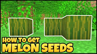 How To Get MELON SEEDS In MINECRAFT [upl. by Ner36]