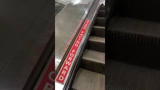 The FAKE Escalator Prank That Went Too Far [upl. by Attiuqaj865]