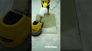 Like New Again Carpet Cleaning Magic [upl. by Arsi]