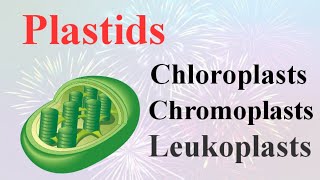 PlastidsChloroplastChromoplast and Leucoplasttheir Function in plants By Smart Learning 47 [upl. by Lindon]