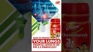 How Chyawanprash Helps Keep Your Lungs Healthy [upl. by Alaster]