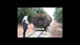 Palm Oil Plantation Railways in Jendarata Perak Malaysia news update tour [upl. by Lathrope]