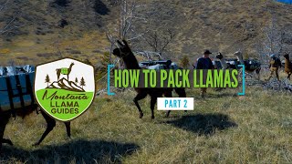 How To Pack Llamas Part 2 [upl. by Latsyek]