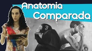 Anatomia comparada [upl. by Verne]