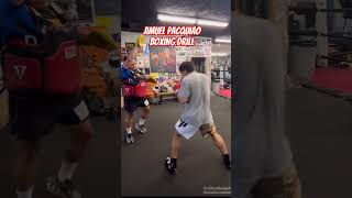 Jimuel Pacquiao Continue Training  Wild Card Boxing Gym [upl. by Ahsitil]