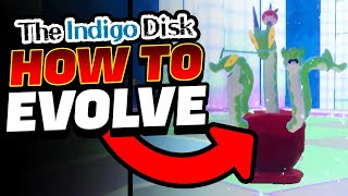 HOW TO EVOLVE DIPPLIN INTO HYDRAPPLE in The Indigo Disk DLC  Pokemon Scarlet Violet [upl. by Norad532]