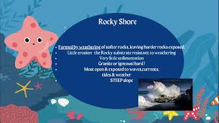 AICE Marine Science Understanding Coastal Landforms 🌊 [upl. by Jobina]