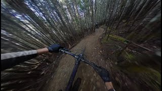 Mountain Biking Paradise in Whistler and Pemberton BC [upl. by Jamilla]