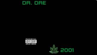 Dr Dre  Murder Inc feat Ms Toi  Chronic 2001 [upl. by Elad]