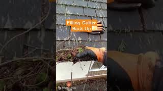 Filling Gutters Back Up guttercleaning roofing drainage youtube [upl. by Onyx213]