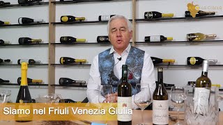 RIBOLLA GIALLA FERMA  Degustazione con lenologo Paolo Valdesolo FVG [upl. by Wera]