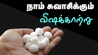 Are Naphthalene Balls Bad for Your Health  24 Tamil Health [upl. by Oicnedurp699]