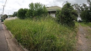 NEGLECTED HOUSE now LOOKS INCREDIBLE  Yard clean up [upl. by Herbst359]