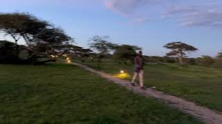 Review Kontik Camp  Ndutu Southern Serengeti [upl. by Reywas]