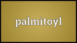 Palmitoyl Meaning [upl. by Yra]