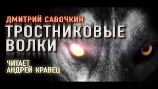 Аудиокнига ДСавочкин quotТростниковые волкиquot Читает Андрей Кравец [upl. by Lockwood]