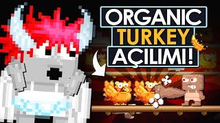 Turkey Events  Gacha ORGANIC TURKEY amp THANKSGIVING BELL growtopia 2024 [upl. by Huntley]