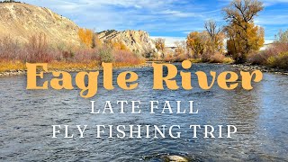 Excellent LateFall Fly Fishing on the Eagle River  October 2024 [upl. by Alpert]