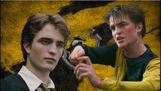 Why Was Cedric Diggory Sorted Into Hufflepuff [upl. by Anuaek]