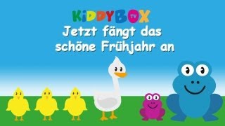 Jetzt fängt das schöne Frühjahr an  Kinderlieder zum Mitsingen  KIDDYBOXTV [upl. by Quillon]