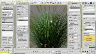 GrowFX 198 SP3 Creating Grass 3 Pennisetum orientalis [upl. by Oirogerg843]