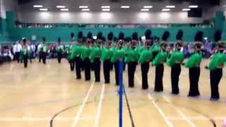 Teesside Golden Dragoons 2014 [upl. by Ynos]