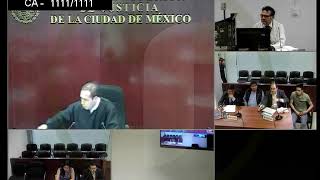 AUDIENCIA DE JUICIO ORAL MATERIA PENAL [upl. by Selokcin447]