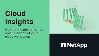 NetApp Cloud Insights [upl. by Averill]