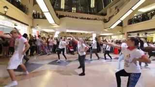 YAK Events Promotional Tour – Flash Mob at Mall of The Emirates 2014 Dubai [upl. by Amir289]