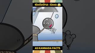 Big Ships Rope Plates Fact  kannada facts karnataka amazing youtubeshorts trendingshorts [upl. by Otsugua]