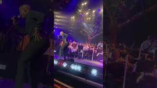 Young Stunna performs “Adiwele” at Kabza De Smalls Red Bull Symphonic Orchestra [upl. by Cassell]