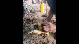 CCF Bataleeya 20222024 student training end project Hollow Brass casting [upl. by Little230]