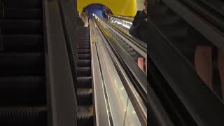 Newly opened Gadigal Sydney Metro station travel sydney australia train new wow amazing [upl. by Dahl292]