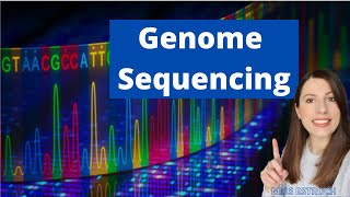 Using Genome Projects What is a genome and how can a sequenced genome be useful [upl. by Sclater]