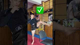 How to hit the Perfect Front Kick naglisraivis [upl. by Godden]