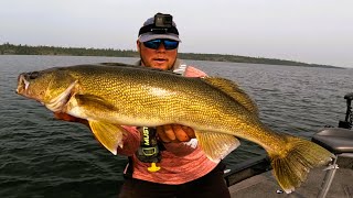 TIPS to catch more walleye on mid lake structure Trophy walleye fishing walleye bigwalleye [upl. by Neeluj]